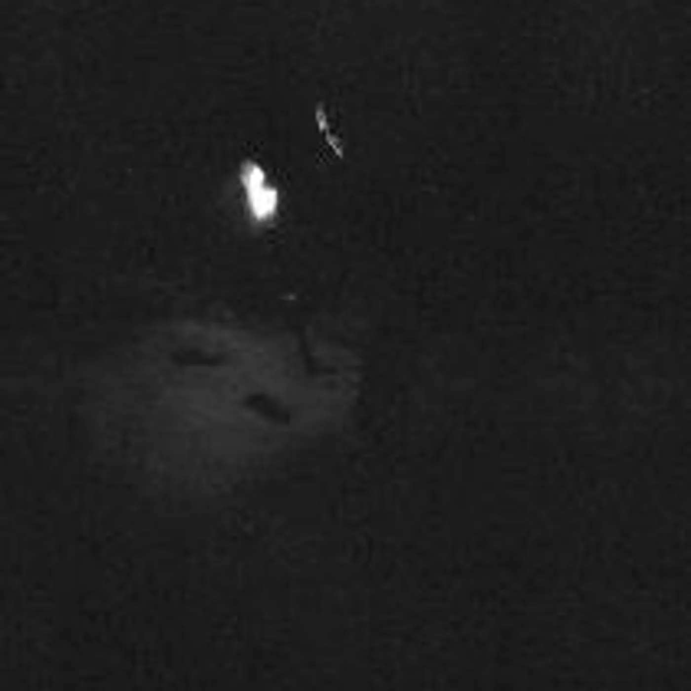 Paysage D'Hiver NACHT CD