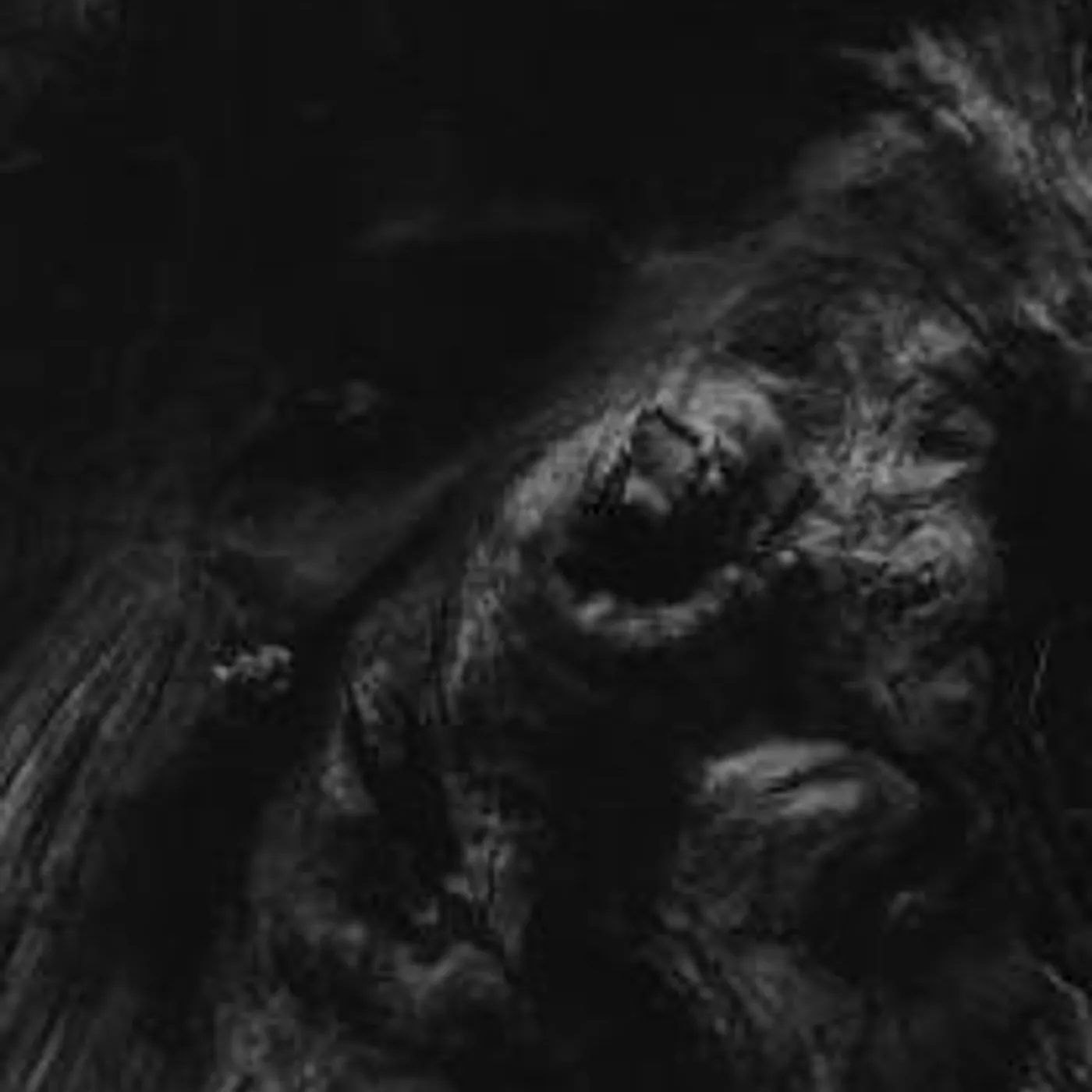 Paysage D'Hiver STEINEICHE CD