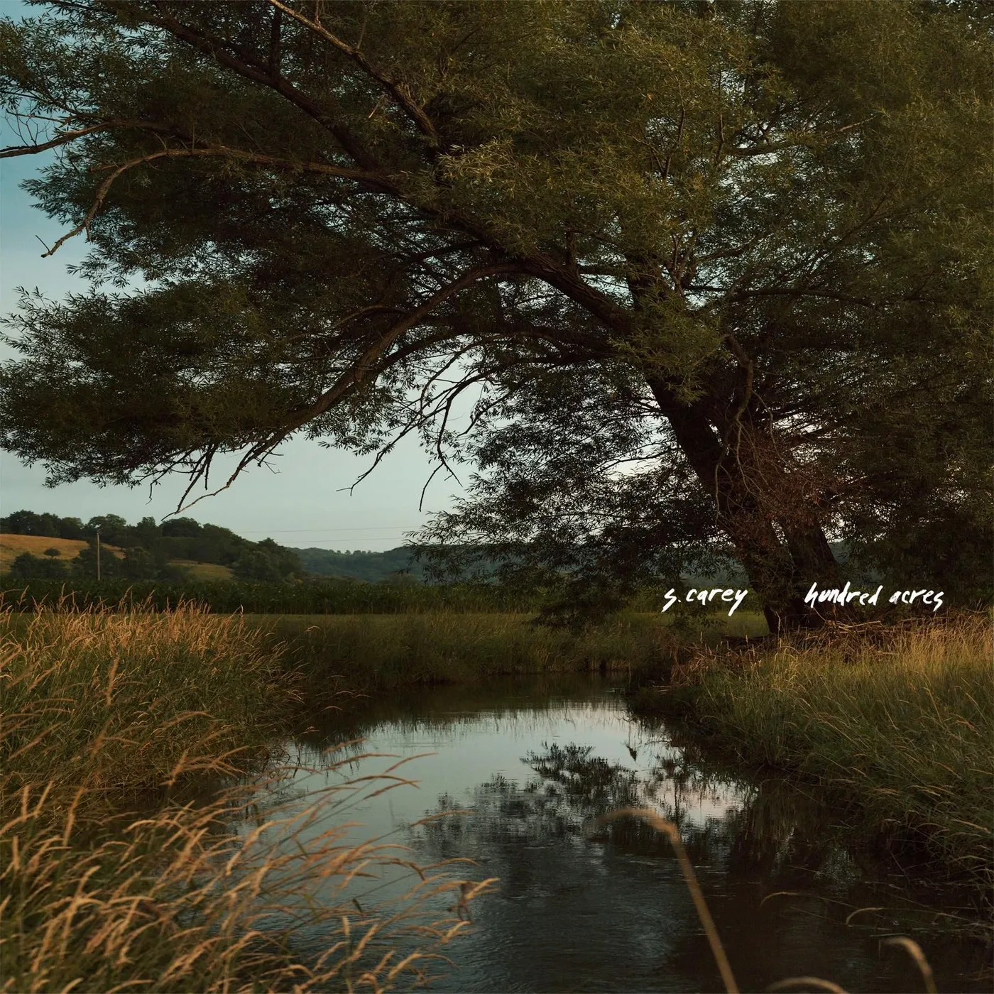 S. Carey Hundred Acres Vinyl Record