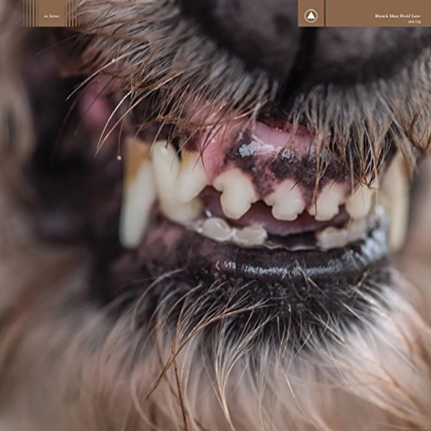 Blanck Mass World Eater Vinyl Record