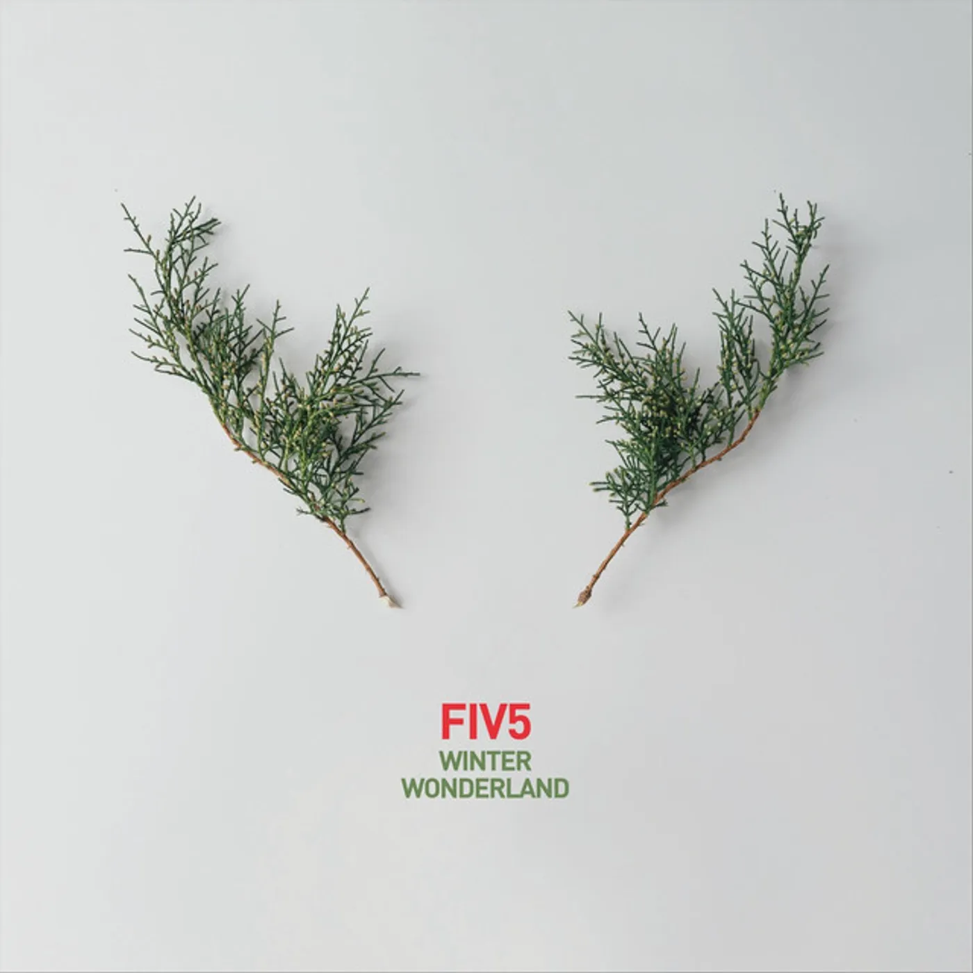 Fiv5 Winter Wonderland Vinyl Record