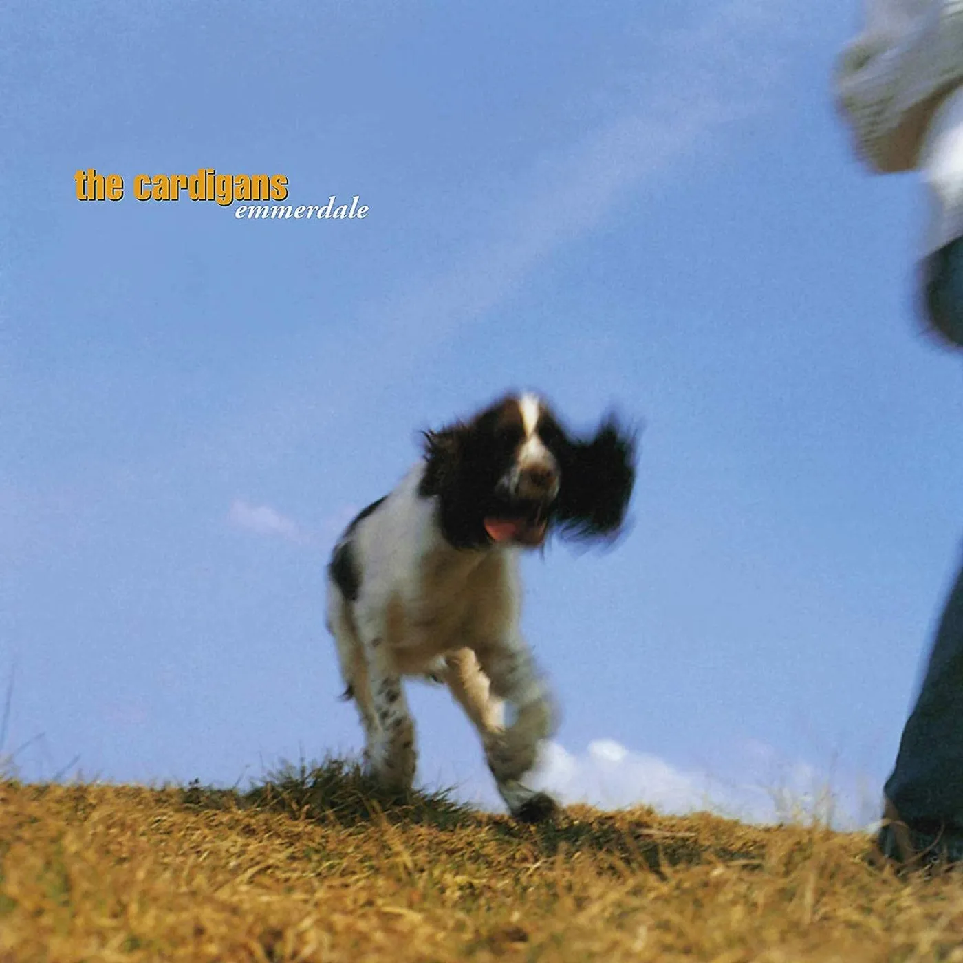 The Cardigans Emmerdale Vinyl Record