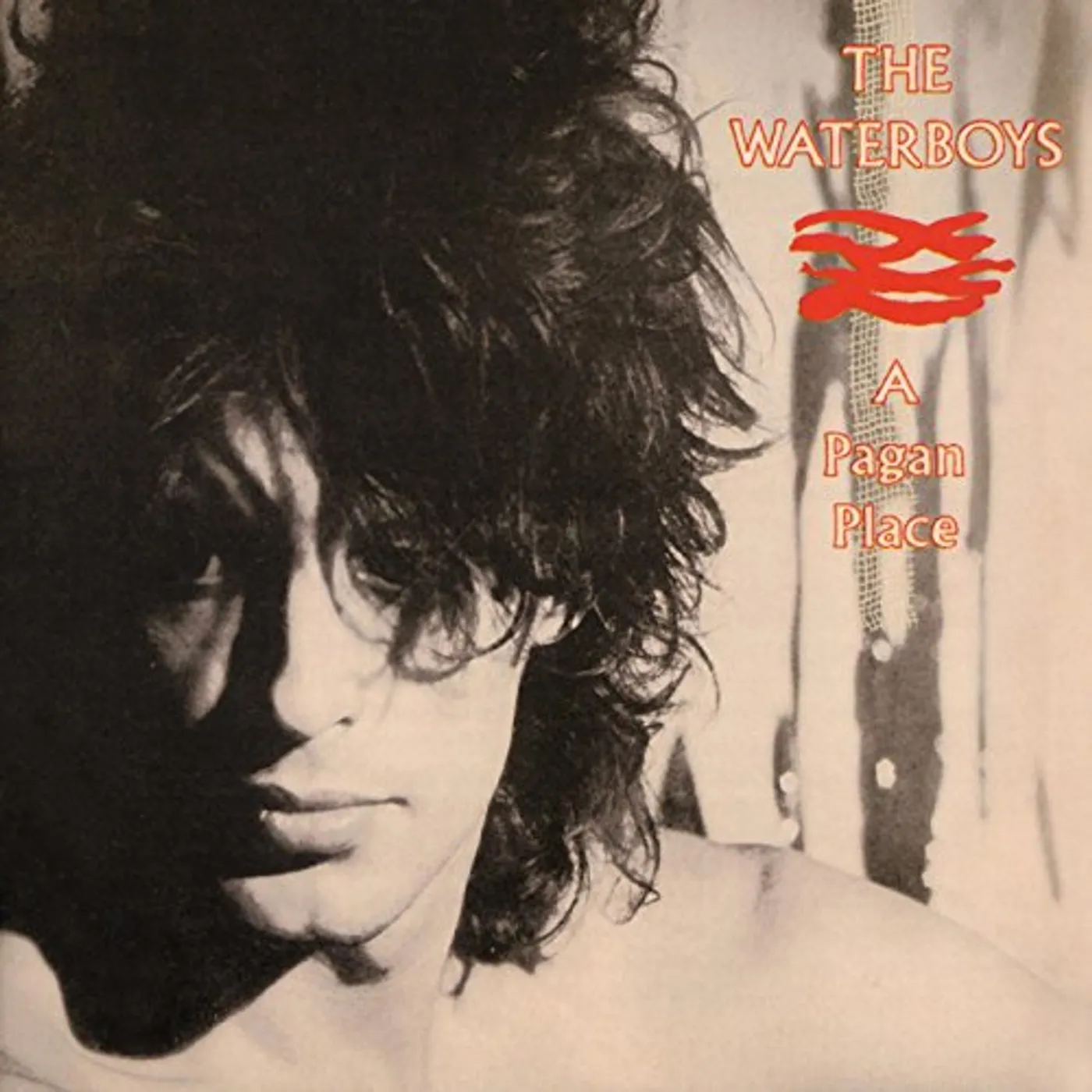The Waterboys PAGAN PLACE CD