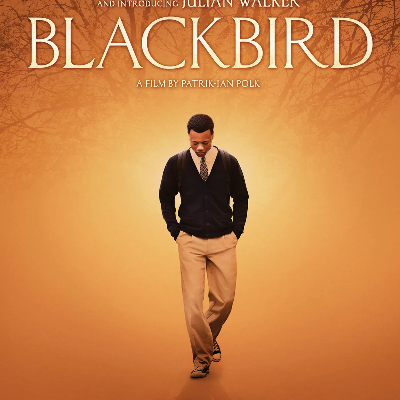 BLACKBIRD DVD