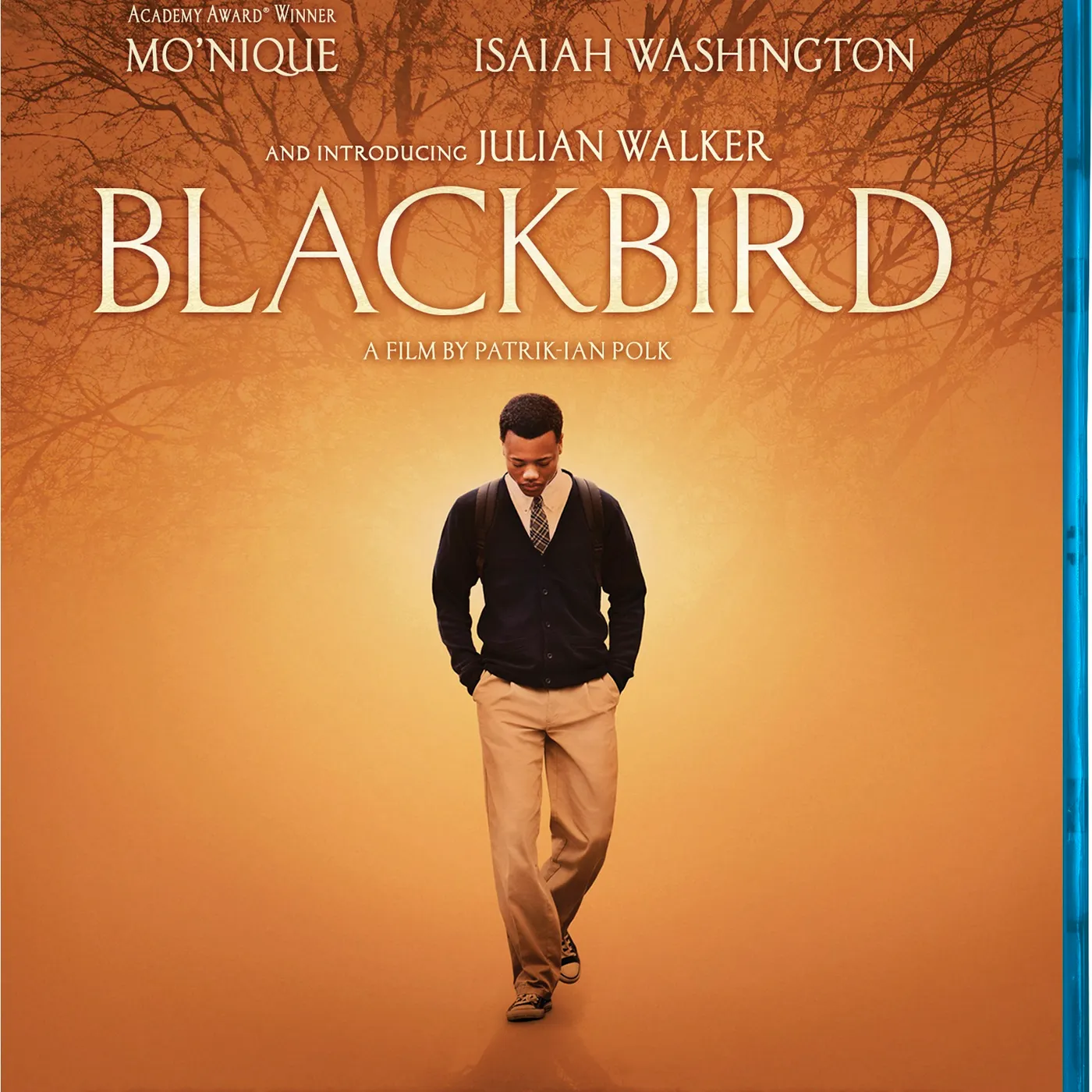 BLACKBIRD Blu-ray