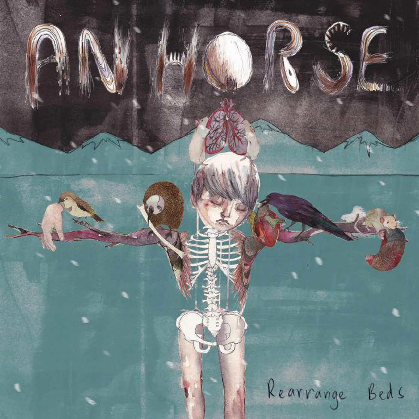 An Horse Rearrange Beds Vinyl Record