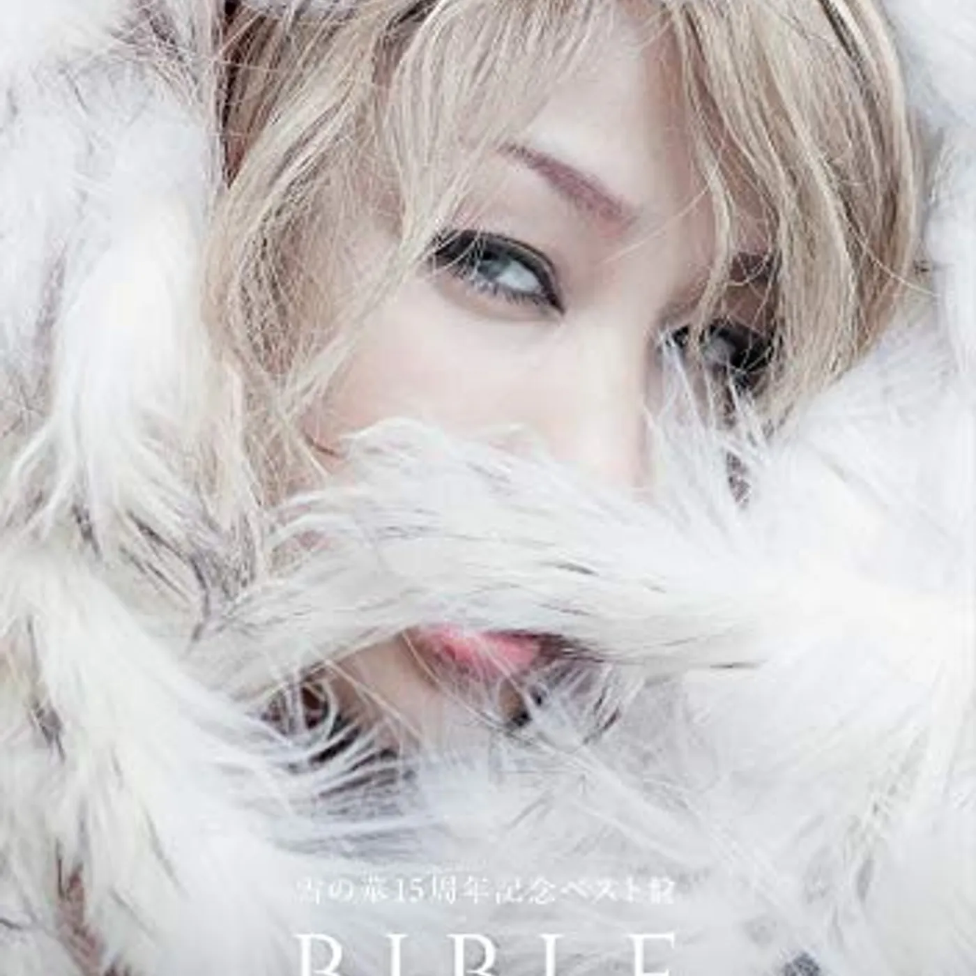 Mika Nakashima YUKI NO HANA 15TH ANNIVERSARY BIBLE AN BIBLE (A) CD