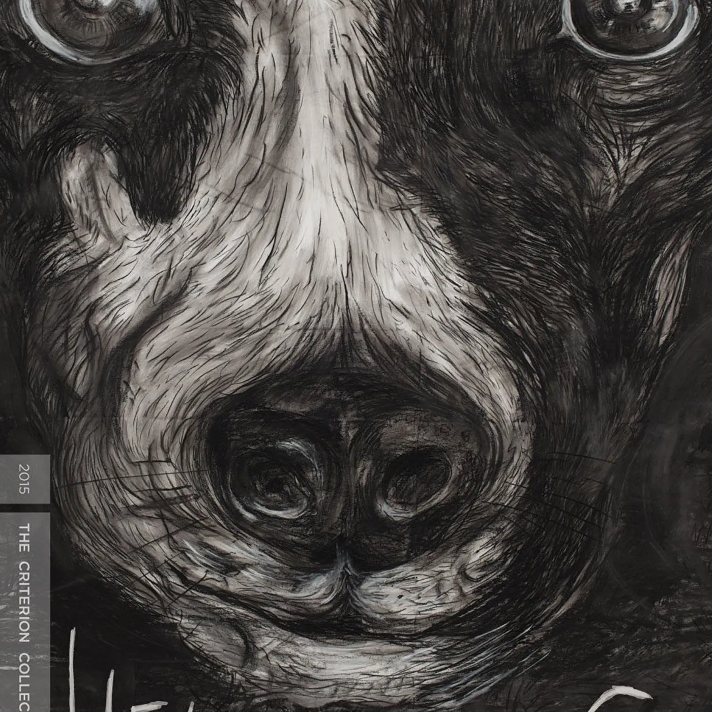 CRITERION COLLECTION HEART OF A DOG/DVD DVD