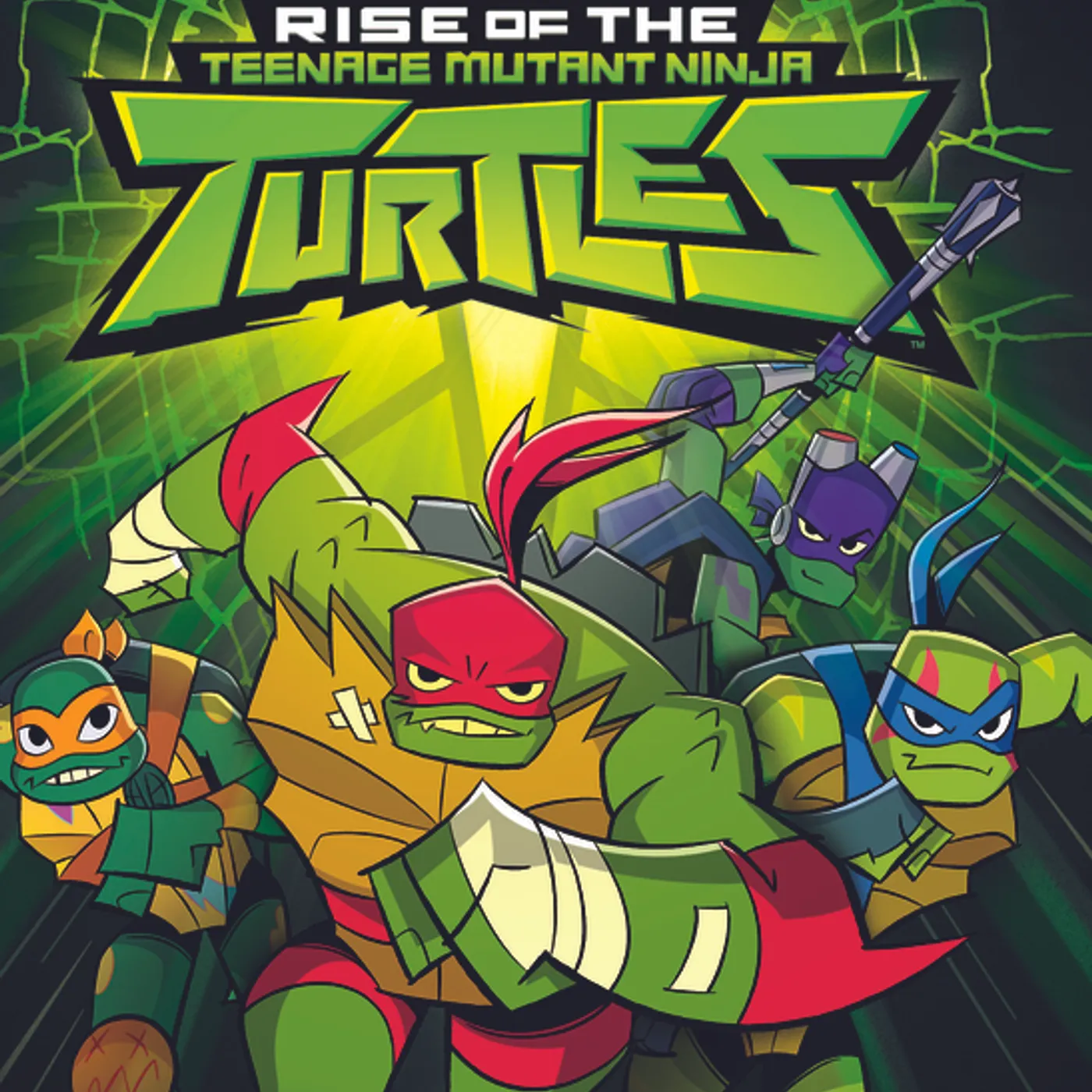 RISE OF THE TEENAGE MUTANT NINJA TURTLES DVD