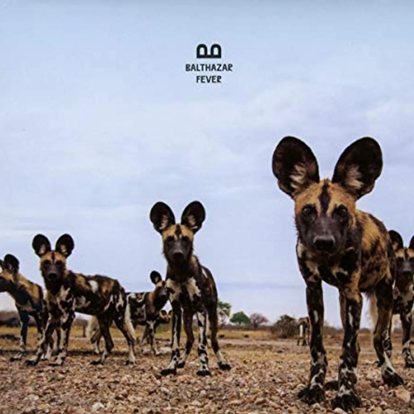 Balthazar FEVER CD