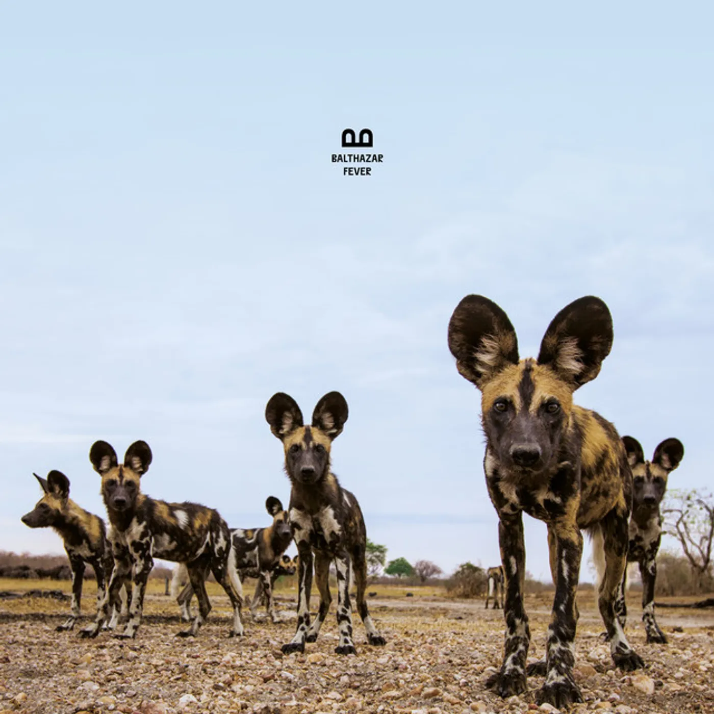 Balthazar Fever Vinyl Record