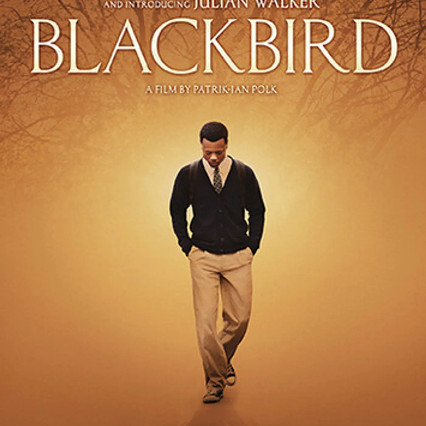 BLACKBIRD DVD