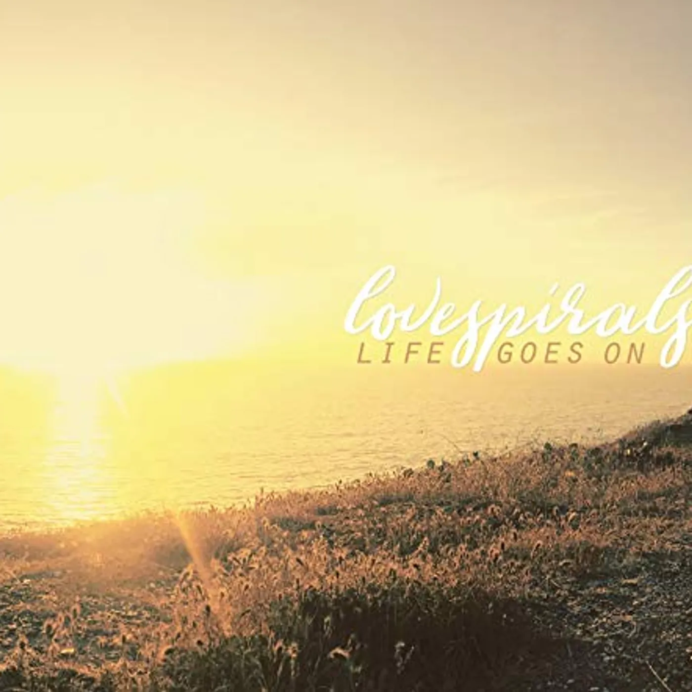Lovespirals LIFE GOES ON CD