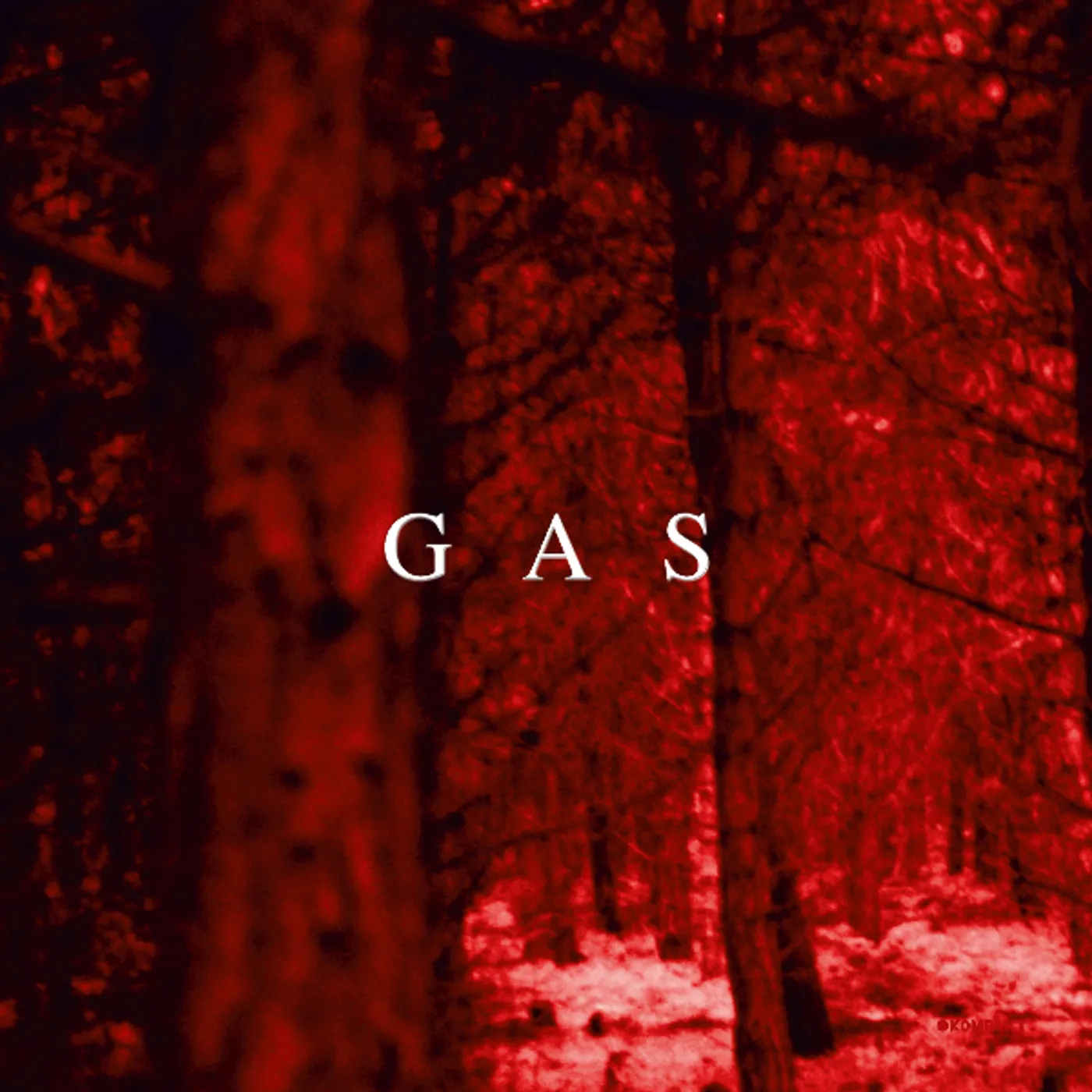 GAS Zauberberg Vinyl Record