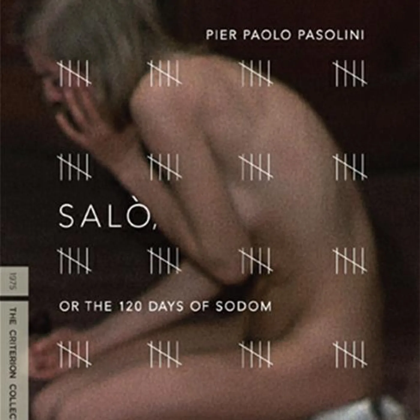 CRITERION COLLECTION SALO OR 120 DAYS OF SODOM/DVD DVD