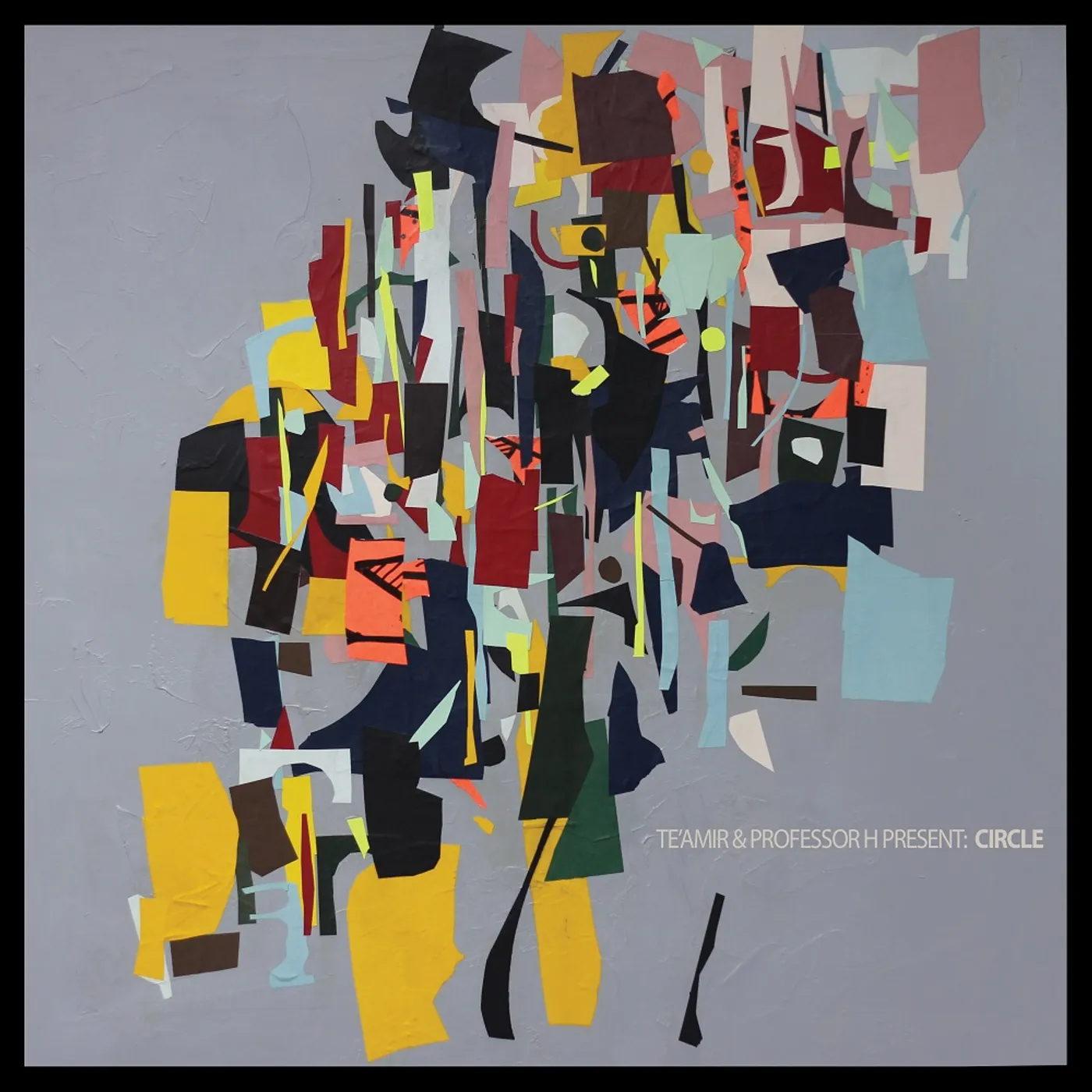 Te'amir Circle Vinyl Record