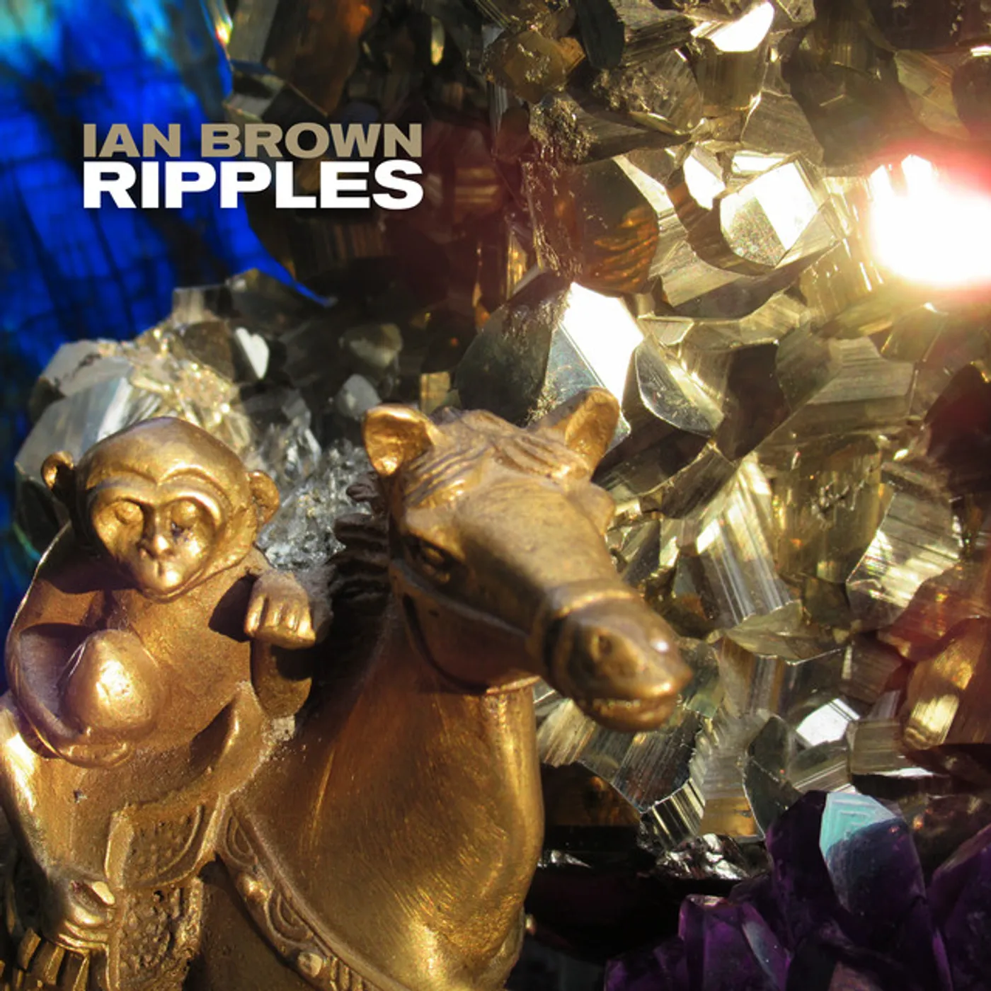 Ian Brown First World Problems Vinyl Record