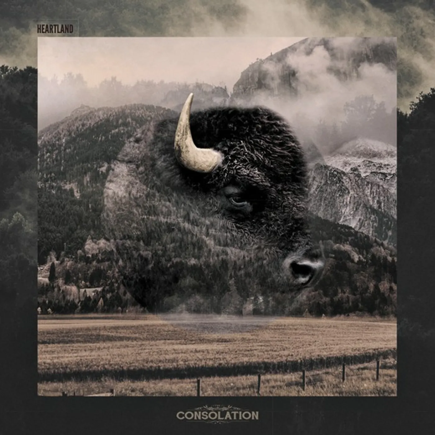 Consolation HEARTLAND Vinyl Record