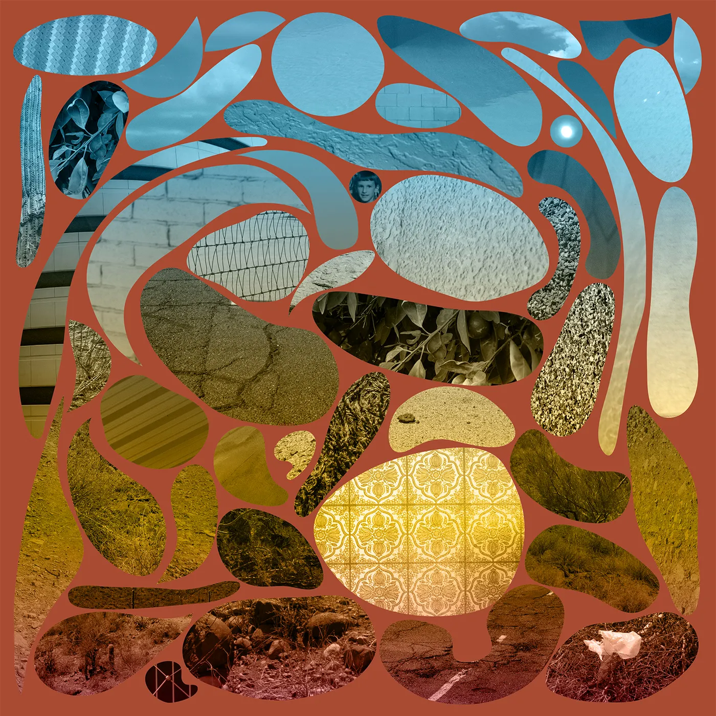 Pedro The Lion Phoenix Vinyl Record