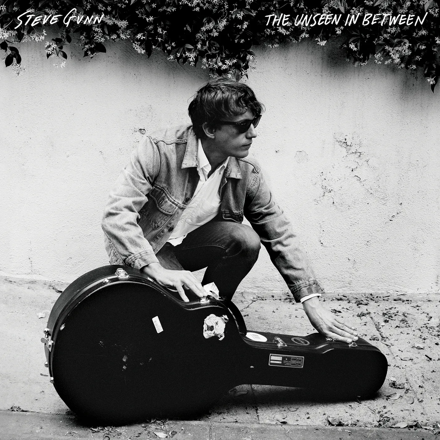 Steve Gunn & Mike Cooper UNSEEN IN BETWEEN Vinyl Record