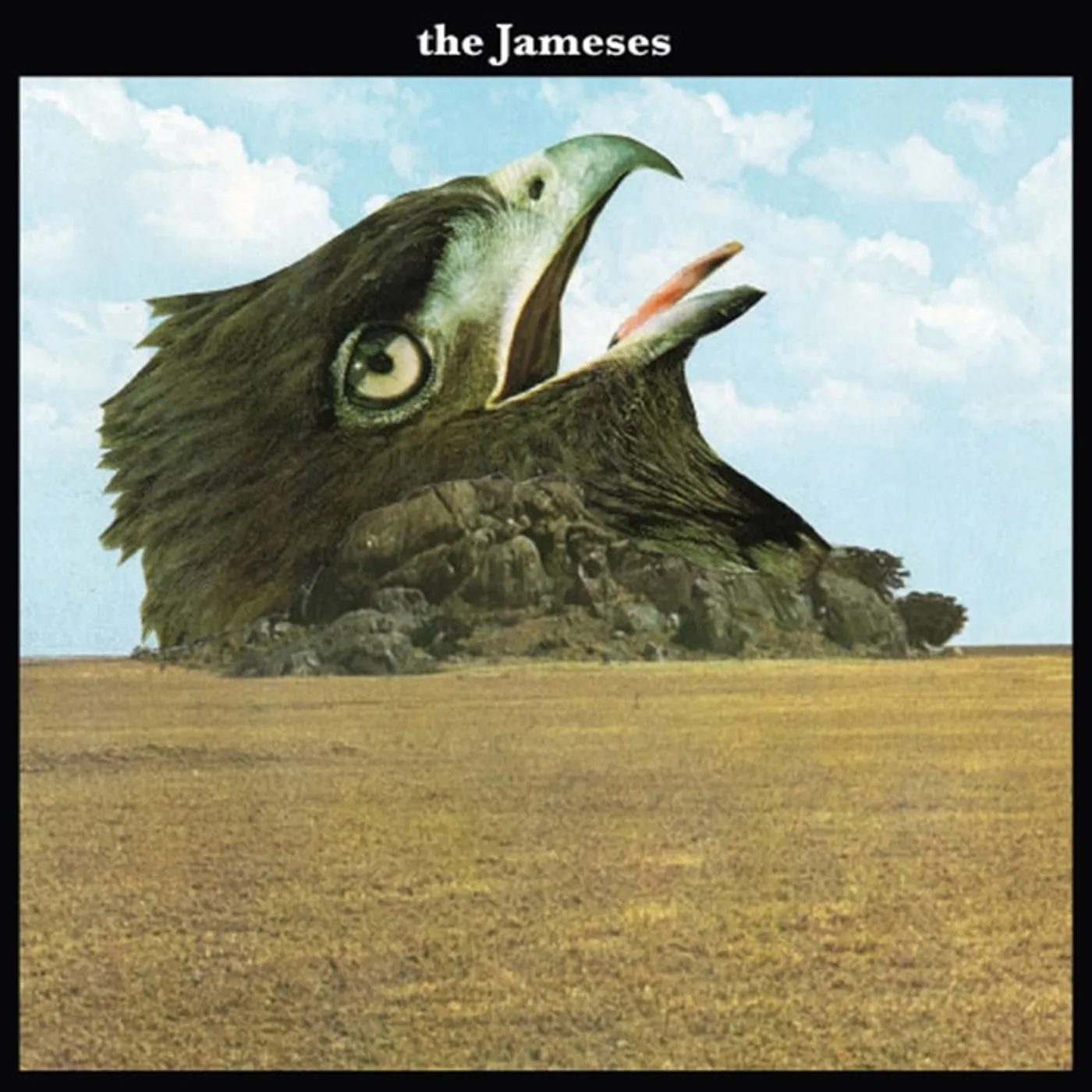 The Jameses Caribou Vinyl Record