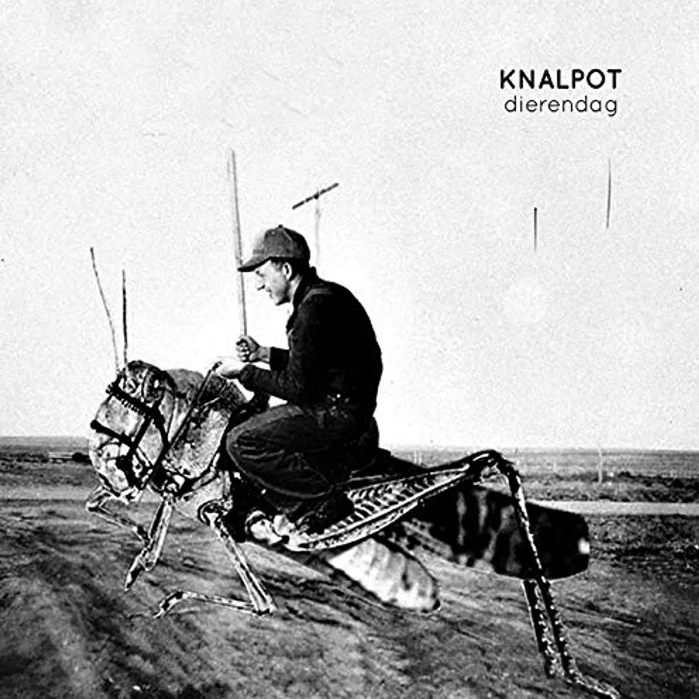 Knalpot DIERENDAG CD