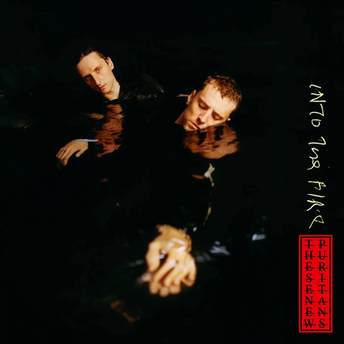 These New Puritans Into the Fire Vinyl Record