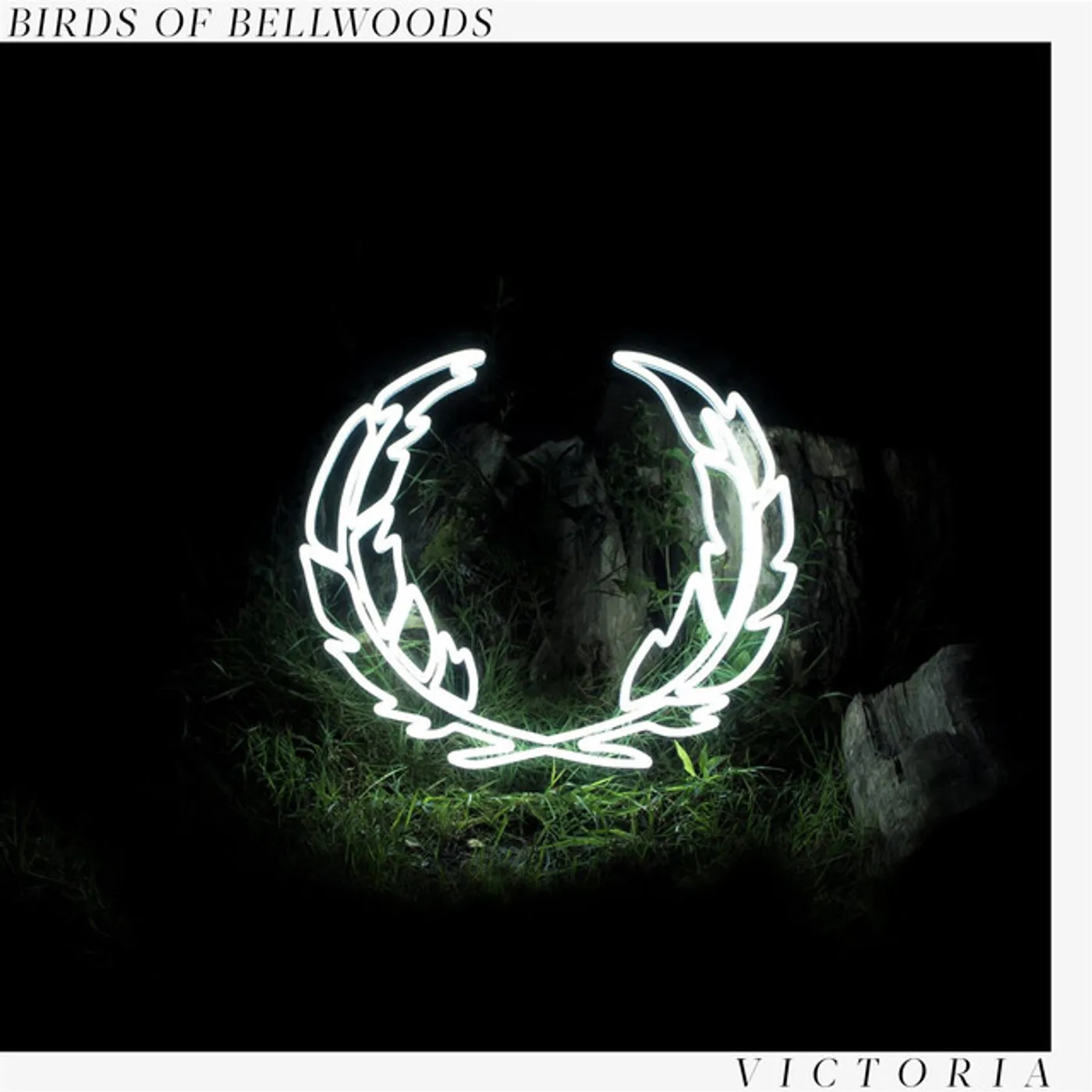 Birds of Bellwoods Victoria Vinyl Record