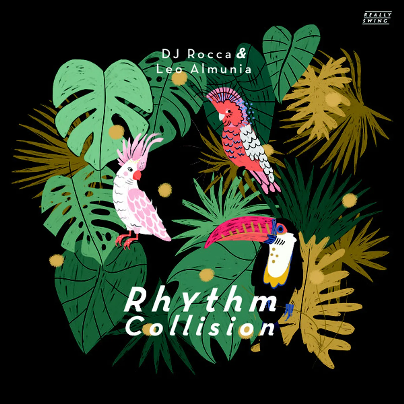 Dj Rocca / Leo Almunia RHYTHM COLLISION Vinyl Record