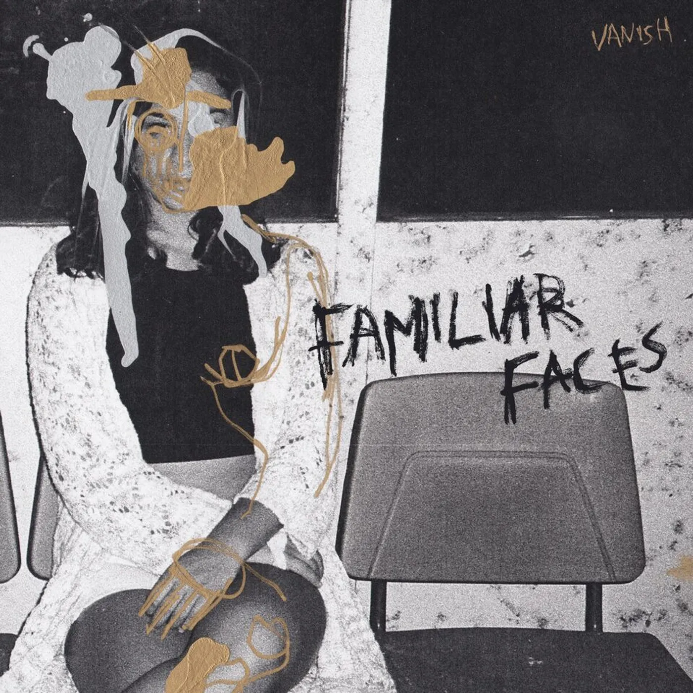 Vanish Familiar Faces Vinyl Record