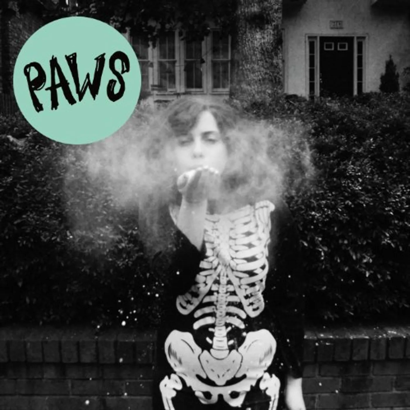 PAWS Youth Culture Forever Vinyl Record