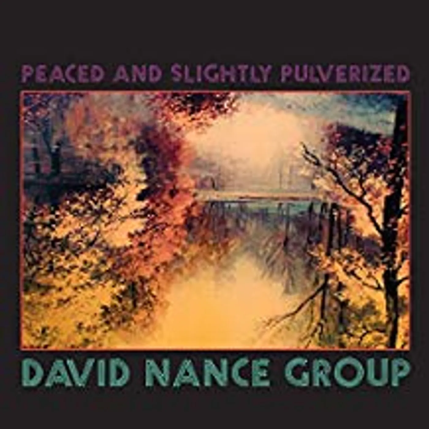David Nance Group Peaced and Slightly Pulverized Vinyl Record