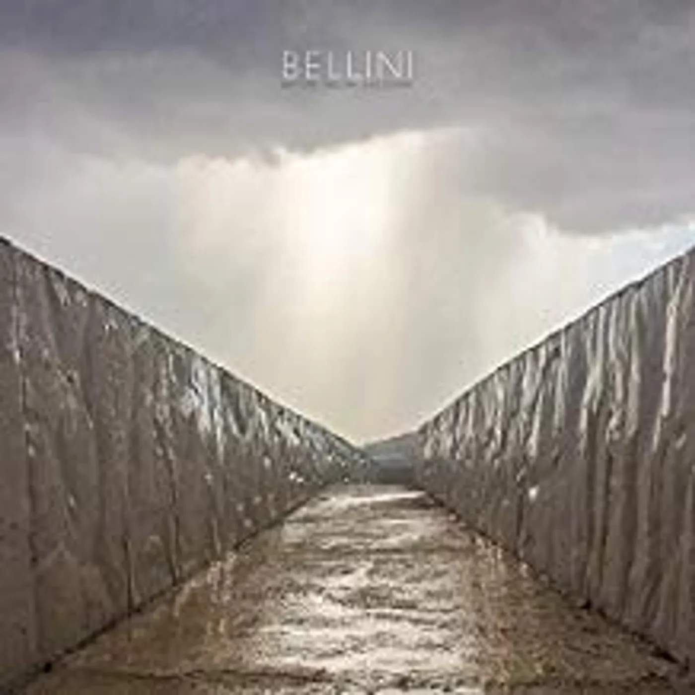 Bellini Before The Day Has Gone Vinyl Record
