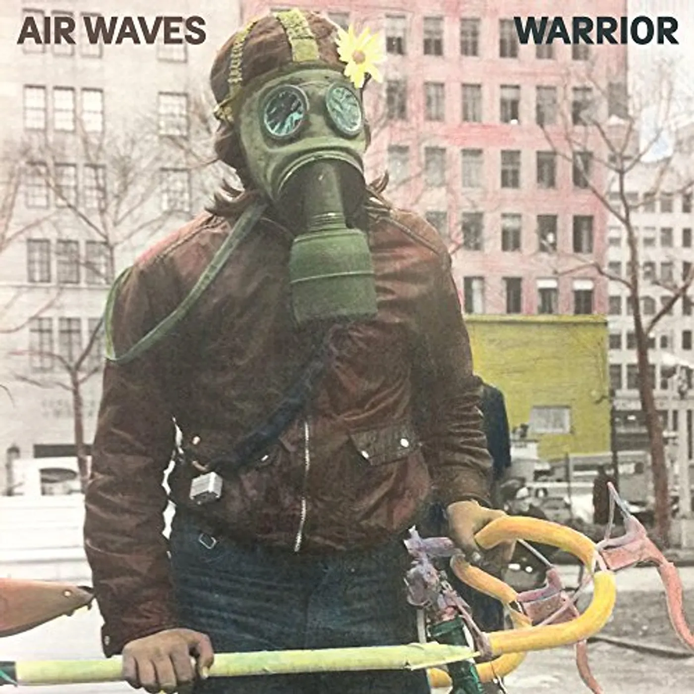 Air Waves Warrior Vinyl Record