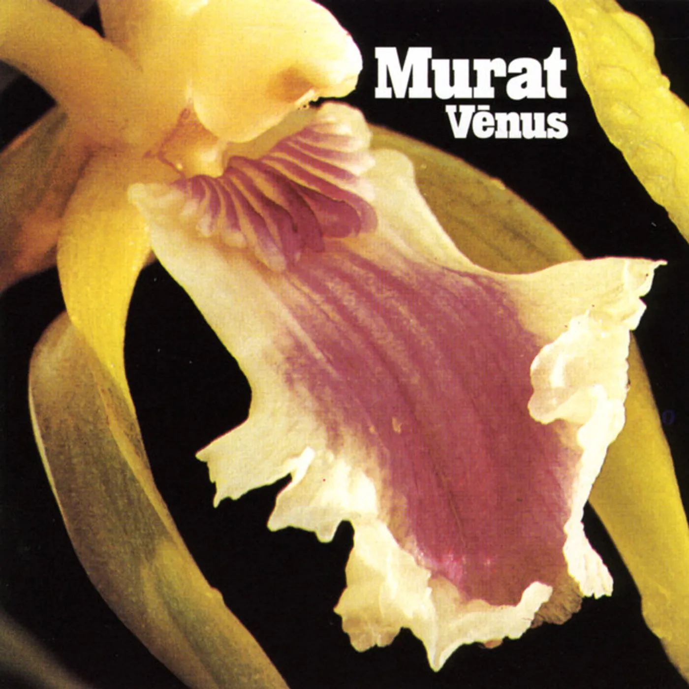 Jean-Louis Murat Venus Vinyl Record