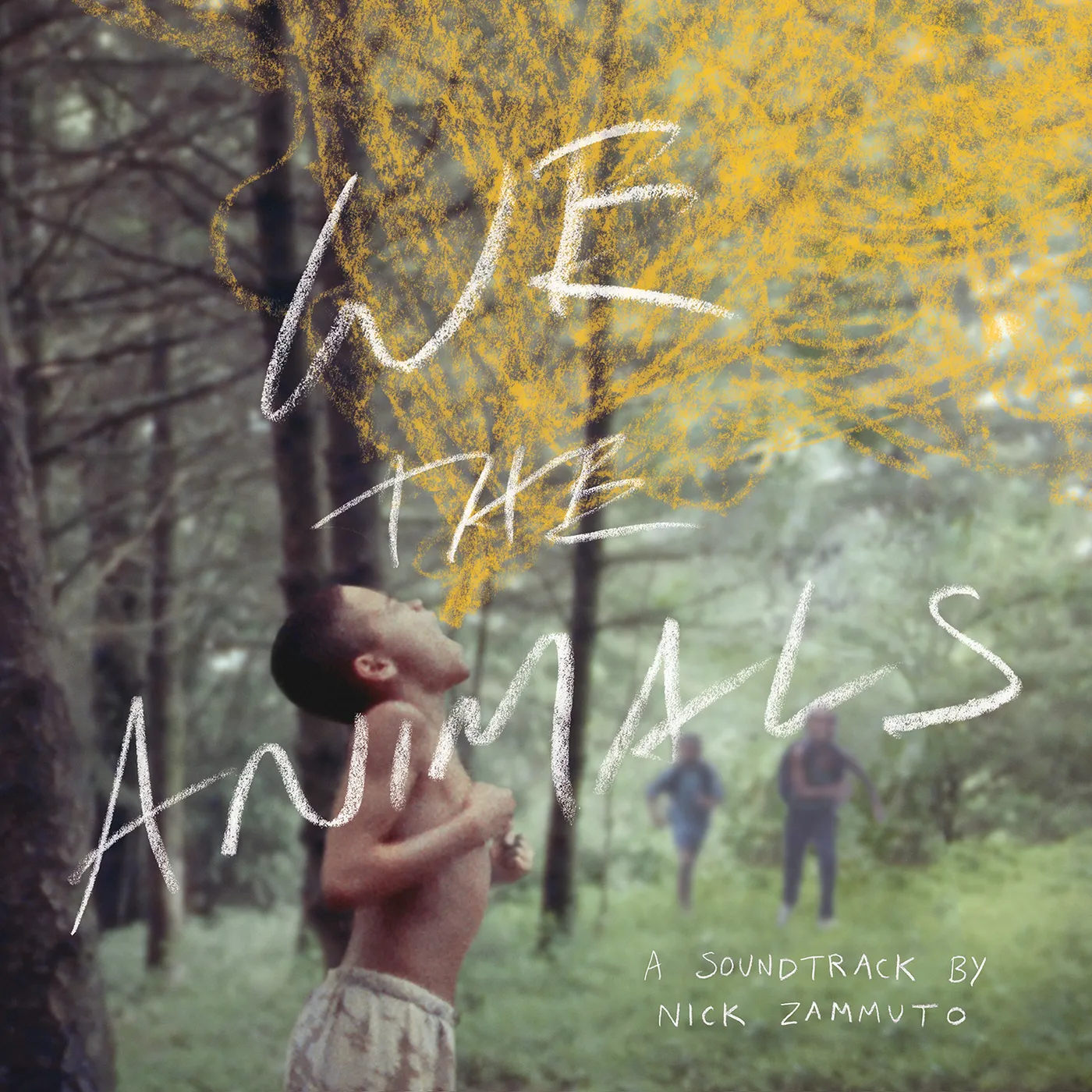 Nick Zammuto WE THE ANIMALS - Original Soundtrack Vinyl Record