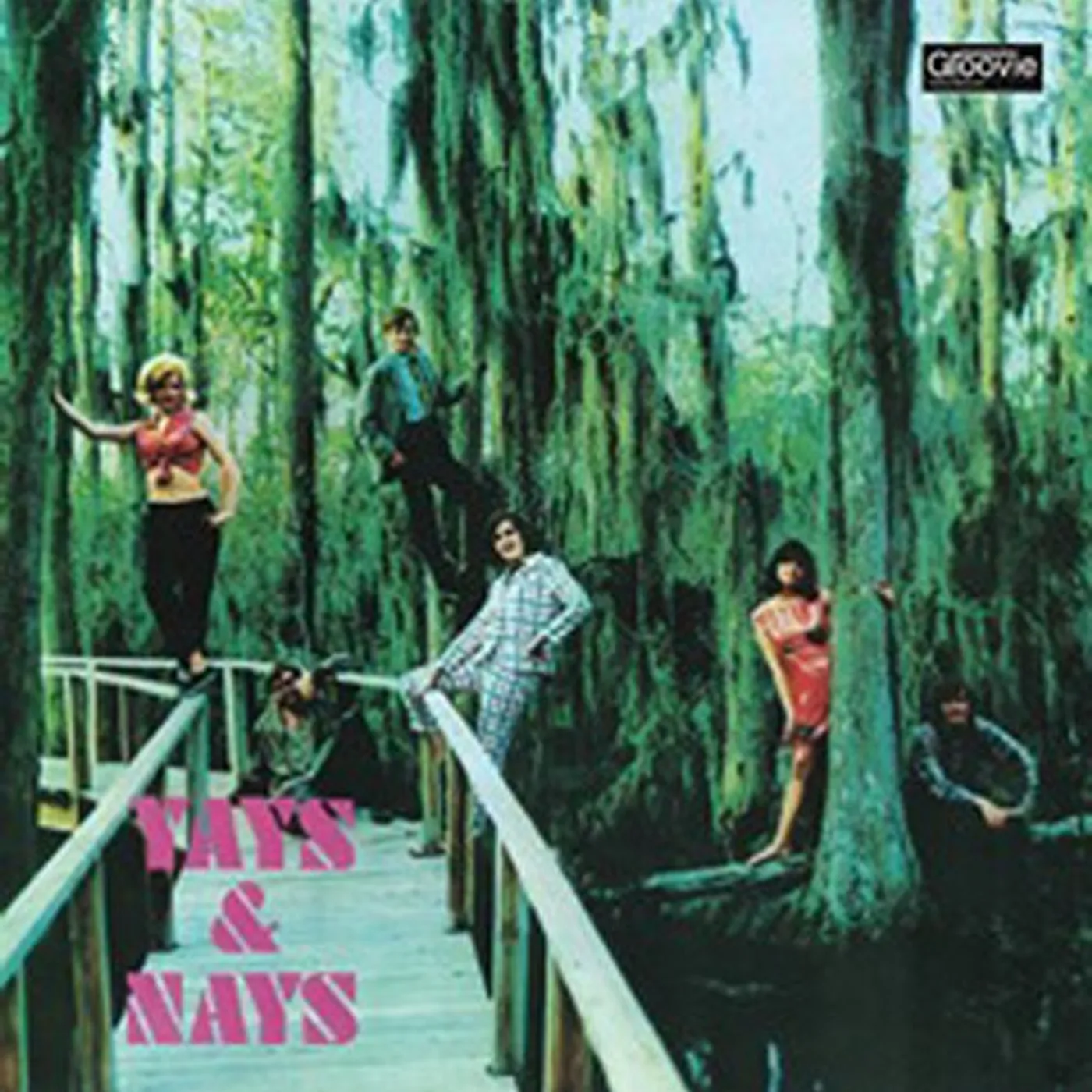 The Yays & Nays Vinyl Record
