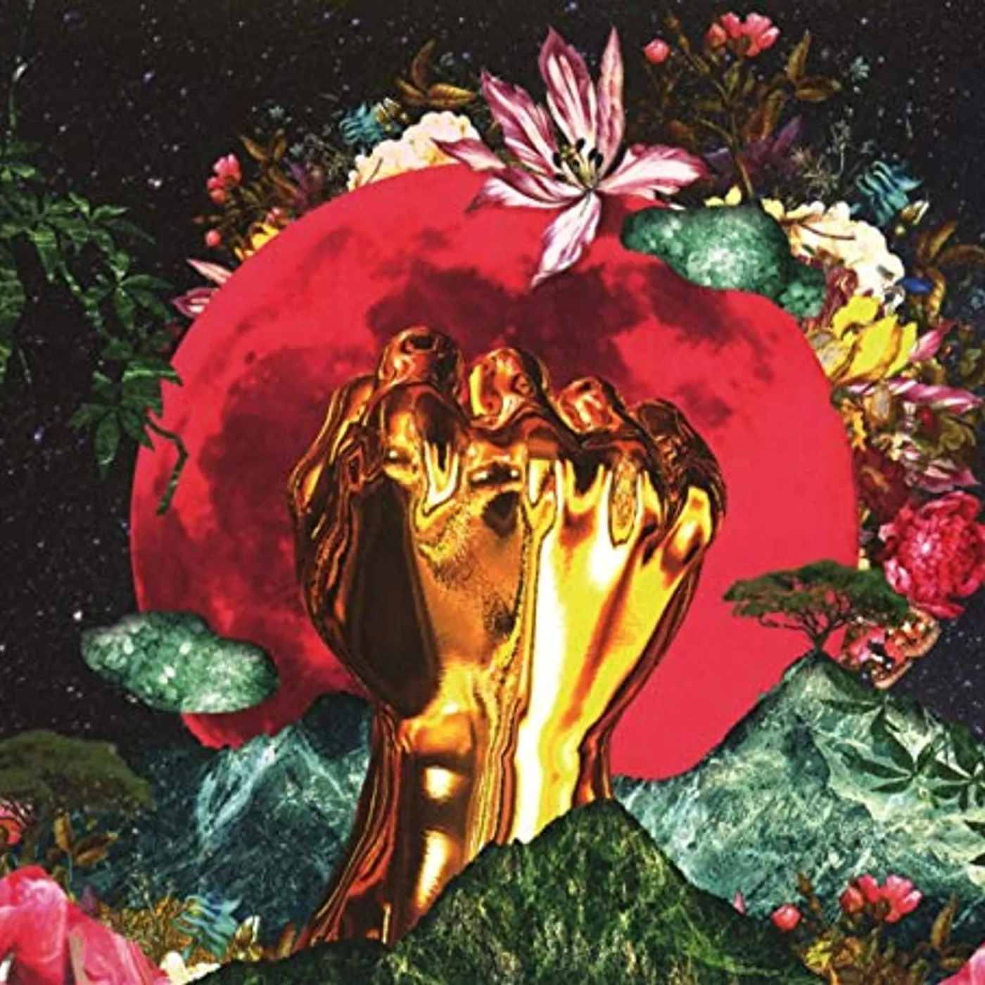 Rina Mushonga IN A GALAXY CD