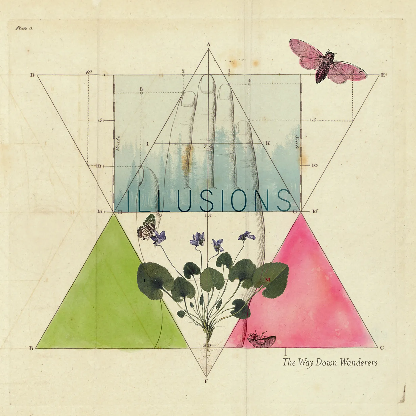 The Way Down Wanderers illusions Vinyl Record