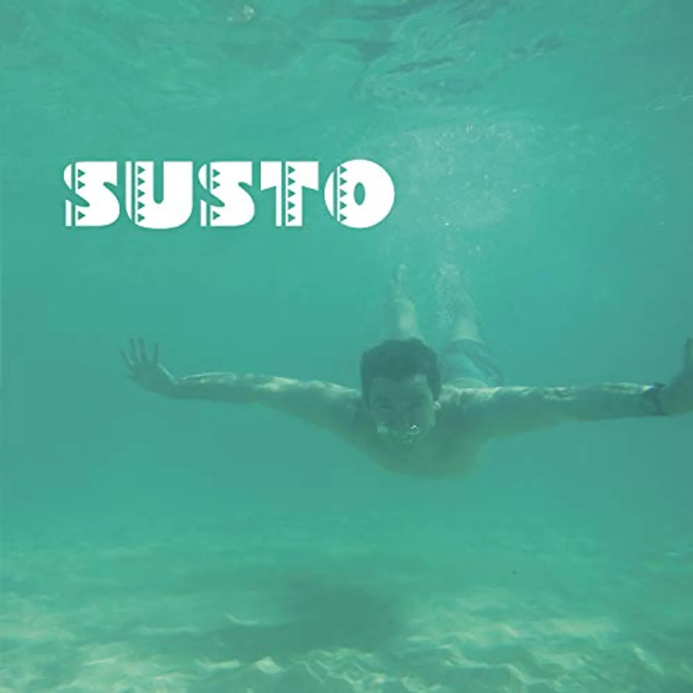 Susto Vinyl Record