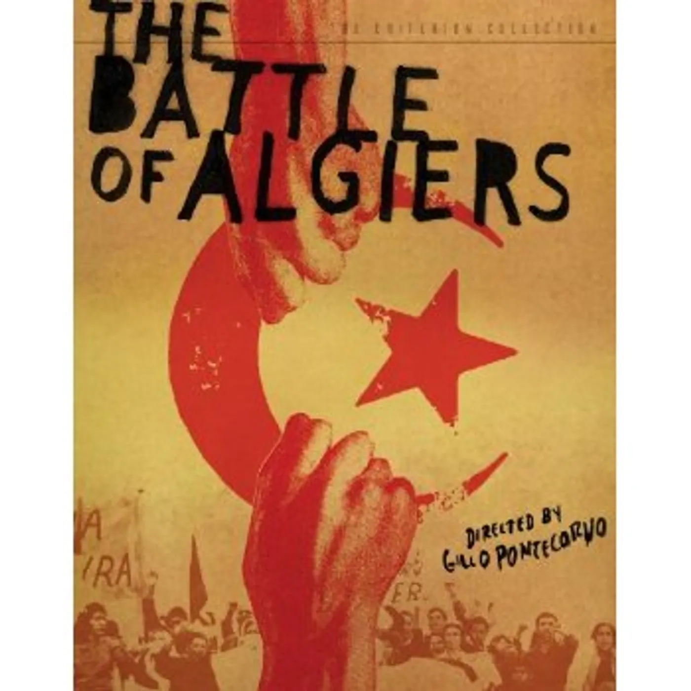 CRITERION COLLECTION BATTLE OF ALGIERS/DVD DVD