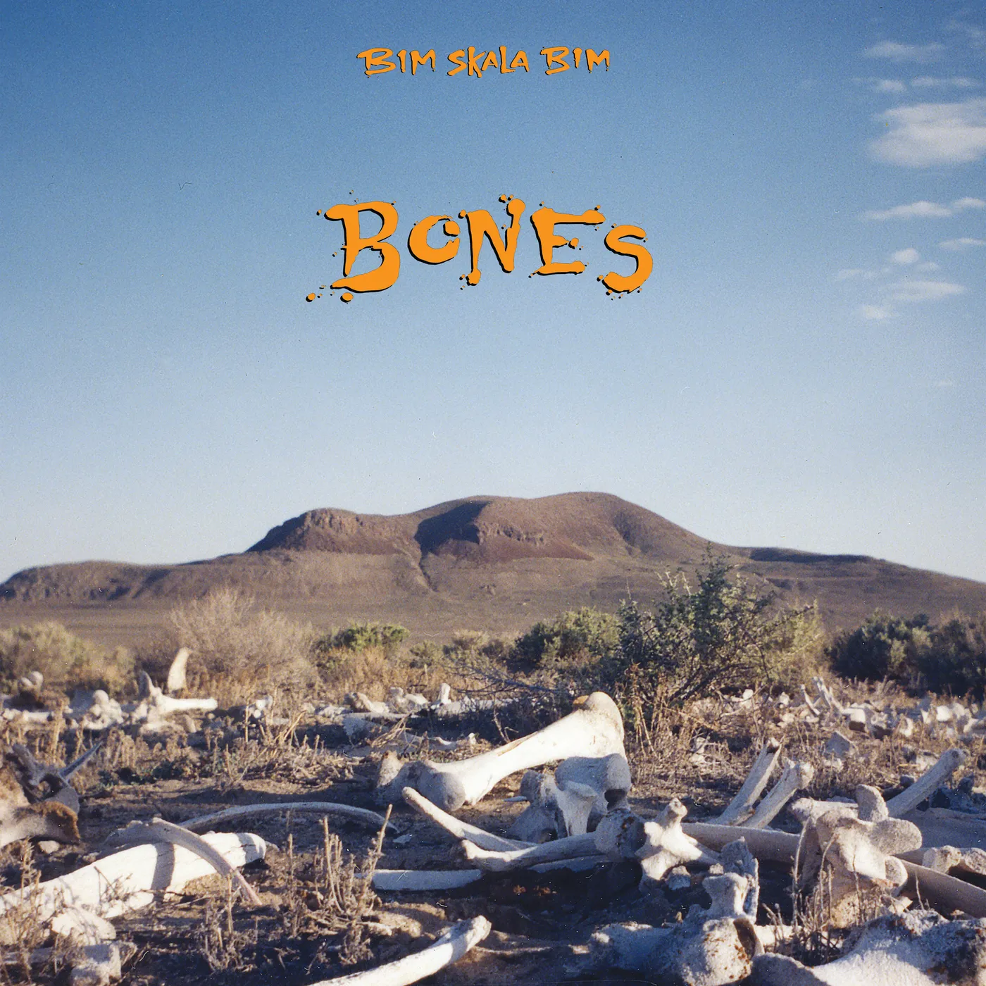 Bim Skala Bim Bones Vinyl Record