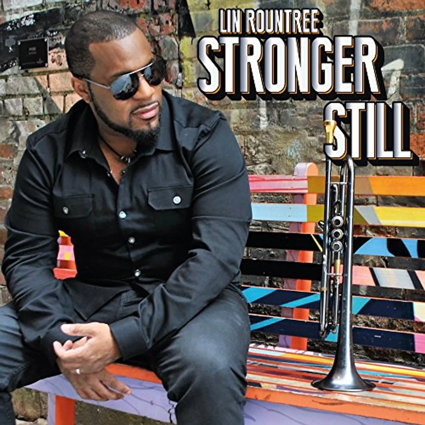Lin Rountree STRONGER STILL CD