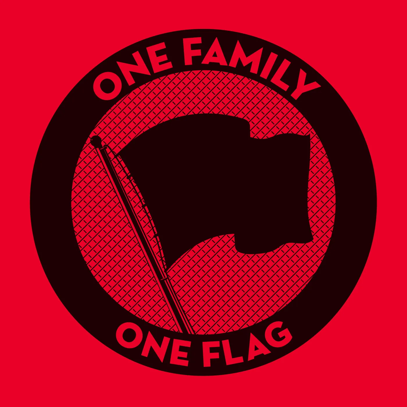 ONE FAMILY. ONE FLAG / VARIOUS Vinyl Record