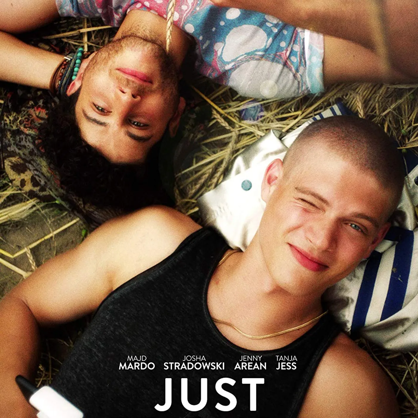 JUST FRIENDS DVD