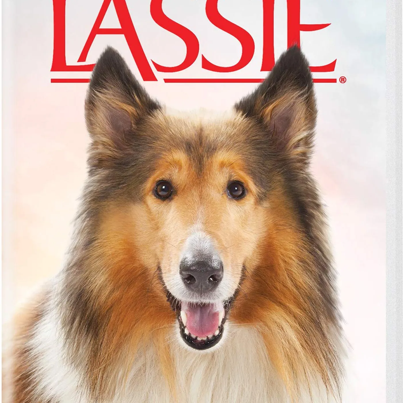 Lassie (2005) DVD