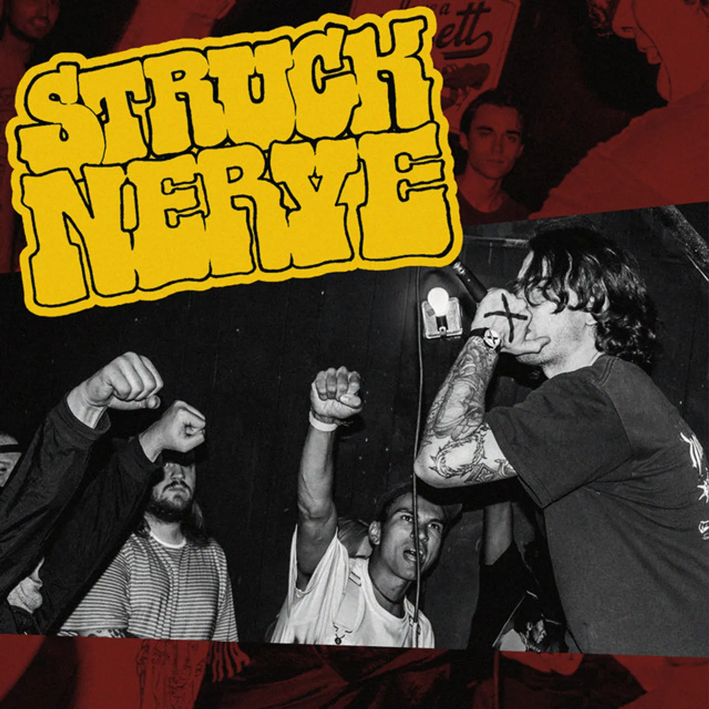Struck Nerve Vinyl Record