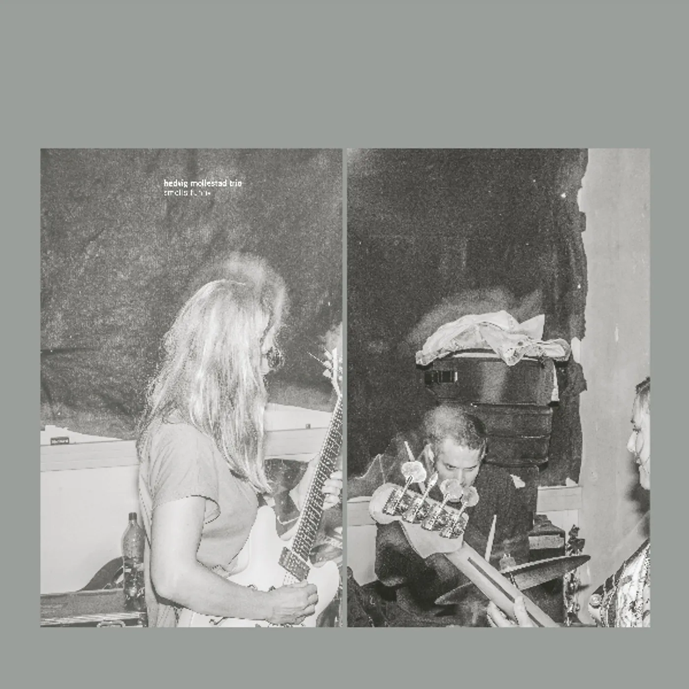 Hedvig Mollestad Trio SMELLS FUNNY CD