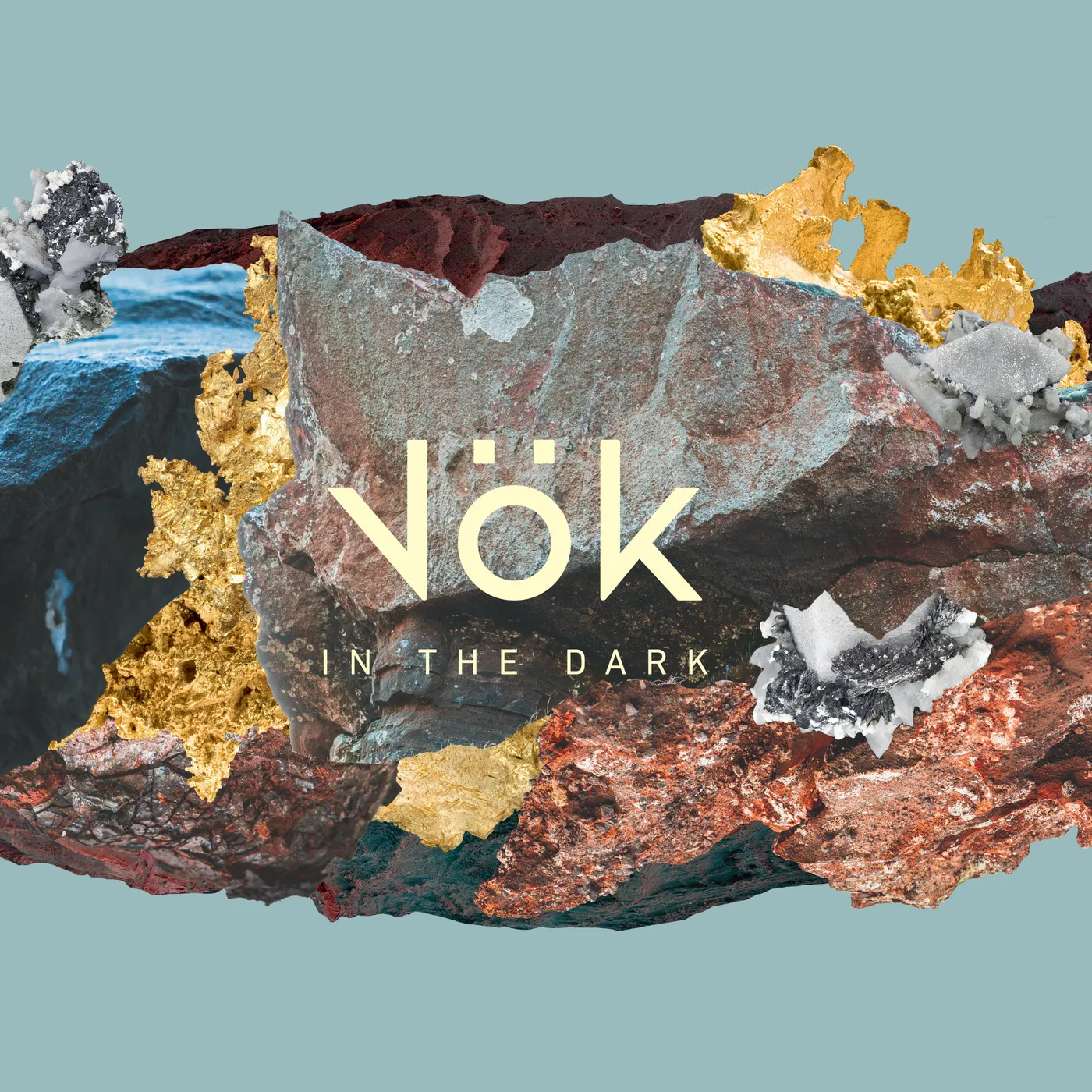 Vok In The Dark Vinyl Record