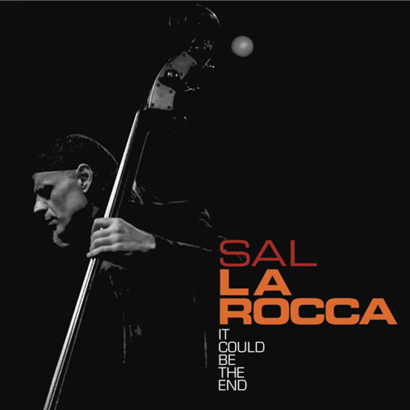 Sal La Rocca IT COULD BE THE END CD